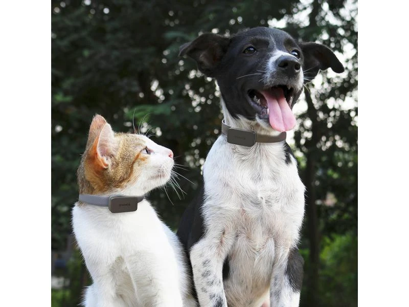 Invoxia GPS-Tracker für Katzen und Hunde inkl. Befestigungsclips 3 Invoxia GPS-Tracker für Katzen und Hunde inkl. Befestigungsclips – Bild 3