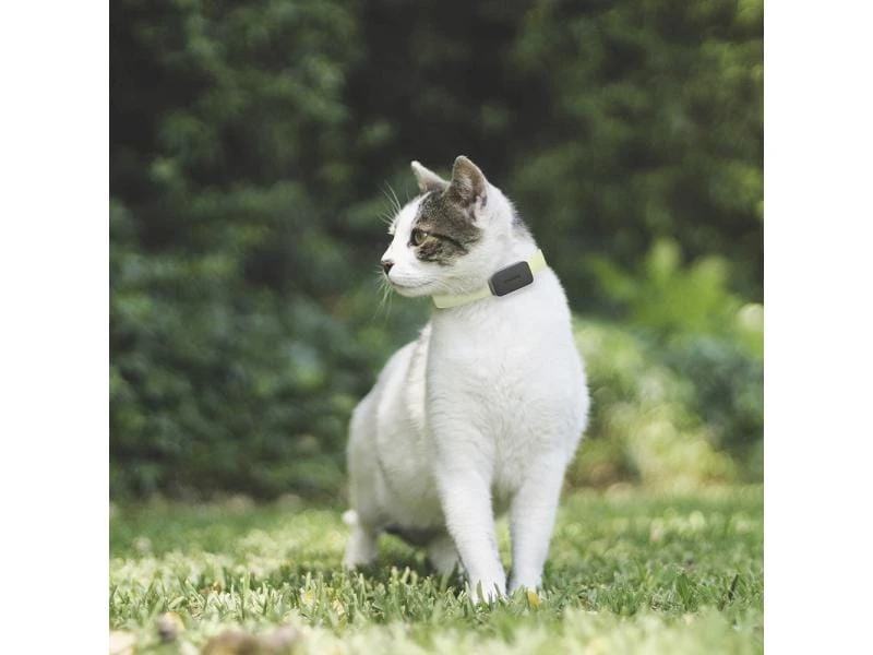 Invoxia GPS-Tracker für Katzen und Hunde inkl. Befestigungsclips 7 Invoxia GPS-Tracker für Katzen und Hunde inkl. Befestigungsclips – Bild 7