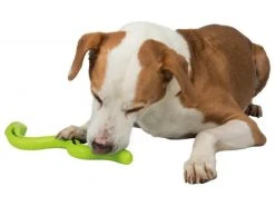 Trixie Hunde-Spielzeug Snack-Snake 42 cm -Hundewelt Verkäufe 53041793 xxl