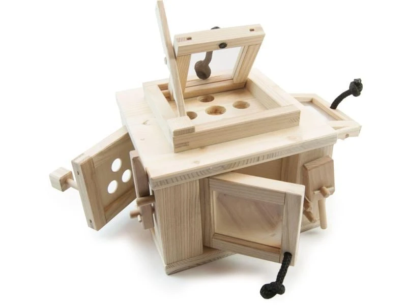 Hundespiele.ch Strategie-Spiel Tresor Tresor 2 Hundespiele.ch Strategie-Spiel Tresor Tresor – Bild 2