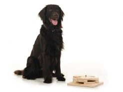 Hundespiele.ch Strategie-Spiel Drehspiel, mittelschwer 7 Hundespiele.ch Strategie-Spiel Drehspiel, mittelschwer -Hundewelt Verkäufe 53384613 xxl