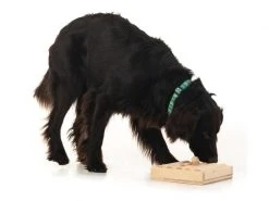 Hundespiele.ch Strategie-Spiel Zaunpfahl Kit, inkl. 5 Vierkanthölzer -Hundewelt Verkäufe 53385093 xxl