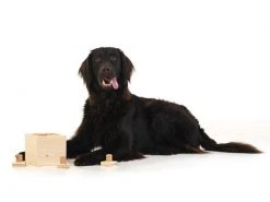 Hundespiele.ch Strategie-Spiel Babuschka, mittelschwer -Hundewelt Verkäufe 53385153 xxl