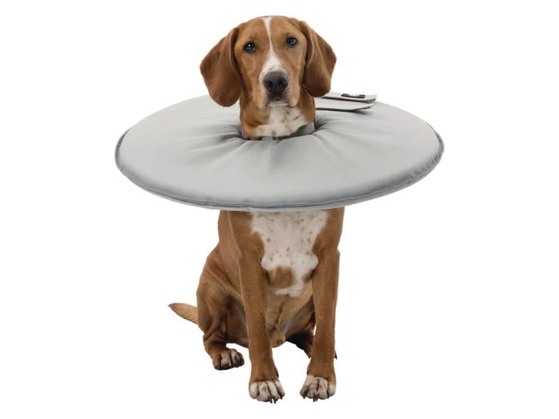 Trixie Schutzkragen L-XL 3 Trixie Schutzkragen L-XL – Bild 3