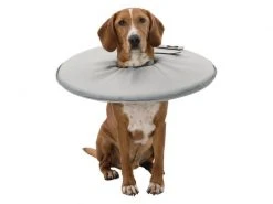 Trixie Schutzkragen XL -Hundewelt Verkäufe 53703942 xxl 5