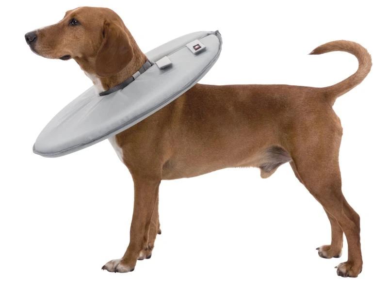 Trixie Schutzkragen M 2 Trixie Schutzkragen M – Bild 2