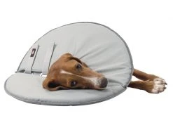 Trixie Schutzkragen L-XL -Hundewelt Verkäufe 53704029 xxl 6