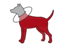 Trixie Schutzkragen S -Hundewelt Verkäufe 53704093 xxl 2