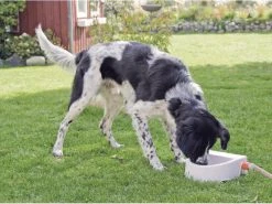 Trixie Automatische Outdoor-Tränke, 1.5 l -Hundewelt Verkäufe 53715769 xxl