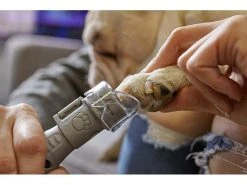 Dremel Krallenschleifer für Hunde & Katzen 7020-5 -Hundewelt Verkäufe 53770646 xxl
