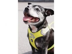 HURTTA Geschirr Weekend Warrior -Hundewelt Verkäufe 53945755 xxl 7