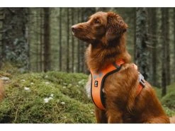 HURTTA Geschirr Weekend Warrior 17 HURTTA Geschirr Weekend Warrior -Hundewelt Verkäufe 53945770 xxl 8