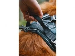 HURTTA Geschirr Weekend Warrior -Hundewelt Verkäufe 53945861 xxl 3