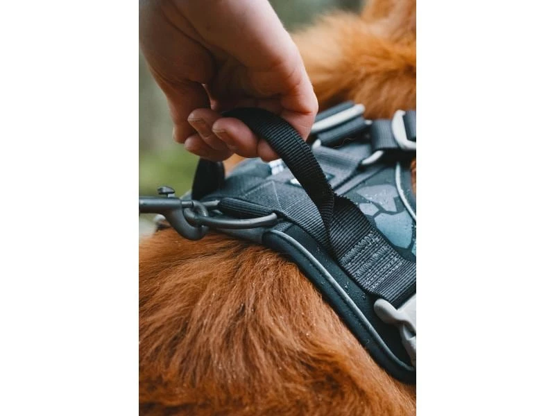 HURTTA Geschirr Weekend Warrior ECO 3 HURTTA Geschirr Weekend Warrior ECO – Bild 3