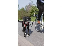 Trixie Biker-Set Friends on Tour 5 Trixie Biker-Set Friends on Tour -Hundewelt Verkäufe 57449074 xxl