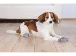 Trixie Hundesocken Anti-Rutsch M-L -Hundewelt Verkäufe 57449480 xxl