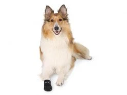 Trixie Pfotenschutz Walker Care L -Hundewelt Verkäufe 57449708 xxl