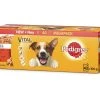 Pedigree Nassfutter Vital Protection Gelee 40 x 100 g