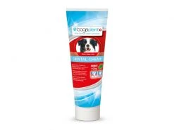 Bogar Hunde-Zahnpaste Dental Creme Mint, 100 g